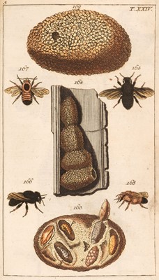 Lot 190 - Wilhelm, Gottlieb Tobias. Unterhaltungen aus der Naturgeschichte, volume 3 (of 27), Augsburg, 1798