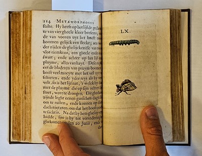 Lot 162 - Goedaert (Johannes). Metamorphosis Naturalis, ofte historische beschryvinghe van den Oirspronk...