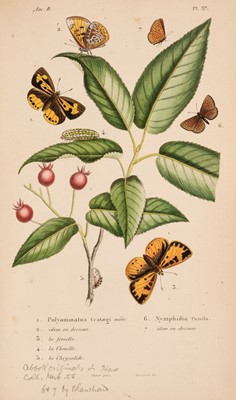 Lot 161 - Godart (Jean Baptiste). Iconographie des chenilles... ou papillons de France, volume 1, Paris, 1832