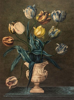 Lot 113 - Continental School. Tulips in a classical urn, 19th century