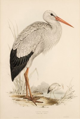 Lot 168 - Lear (Edward). White Stork [1832 - 37]