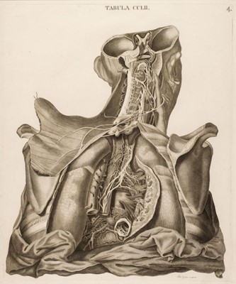 Lot 134 - Anatomy. Caldani (Leopoldo M. A.), 43 engraved plates, circa 1813