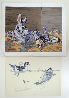 Lot 472 - Harrow (Ken, 20th century). Original animal illustrations, circa 1950