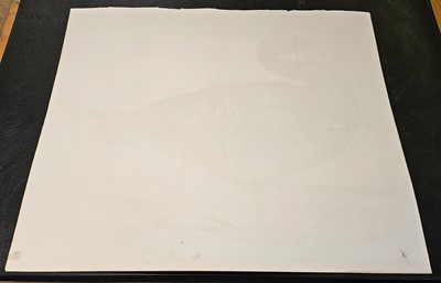 Lot 195 - Selby (John Prideaux). Two etchings of Geese [1819 - 34]
