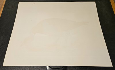 Lot 195 - Selby (John Prideaux). Two etchings of Geese [1819 - 34]