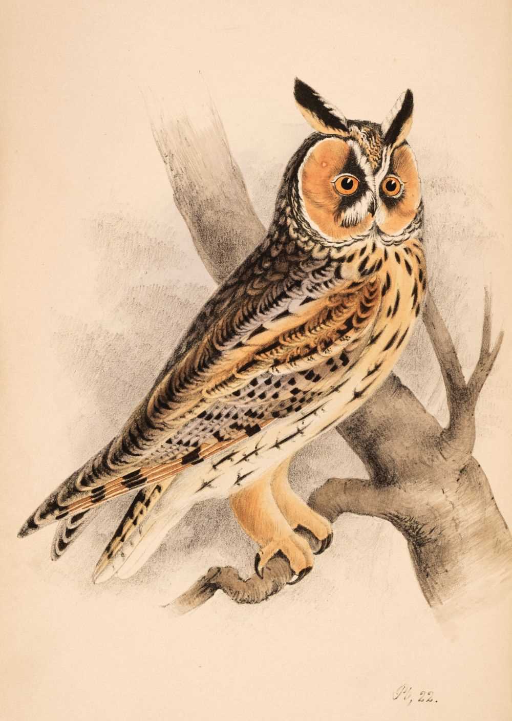 Lot 61 - Meyer (Henry Leonard). Coloured illustrations of British Birds, and their Eggs, 7 volumes