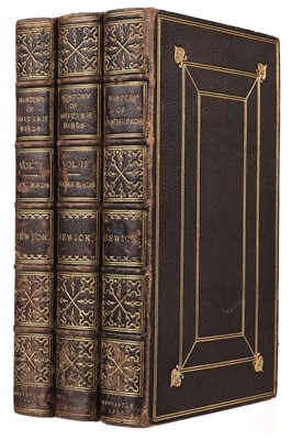 Lot 46 - Bewick (Thomas). History of British Birds (Land & Water Birds), 2 vols., 1st ed., 1797-1804