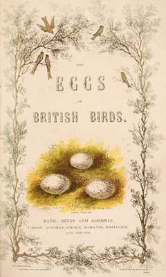 Lot 58 - Jennings (C.). The Eggs of British Birds, Binns and Goodwin, Bath, circa 1850