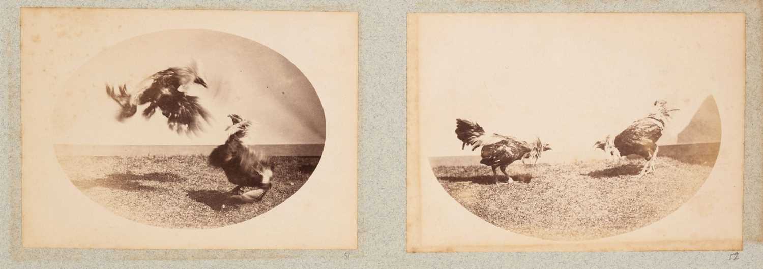 Lot 75 - Thames. An Album of 59 photographs, c. 1890