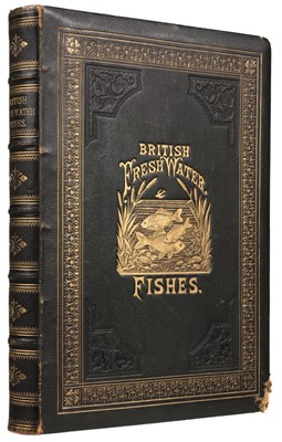 Lot 53 - Houghton (William). British Fresh-Water Fishes, 1st edition, London: William Mackenzie, [1879]