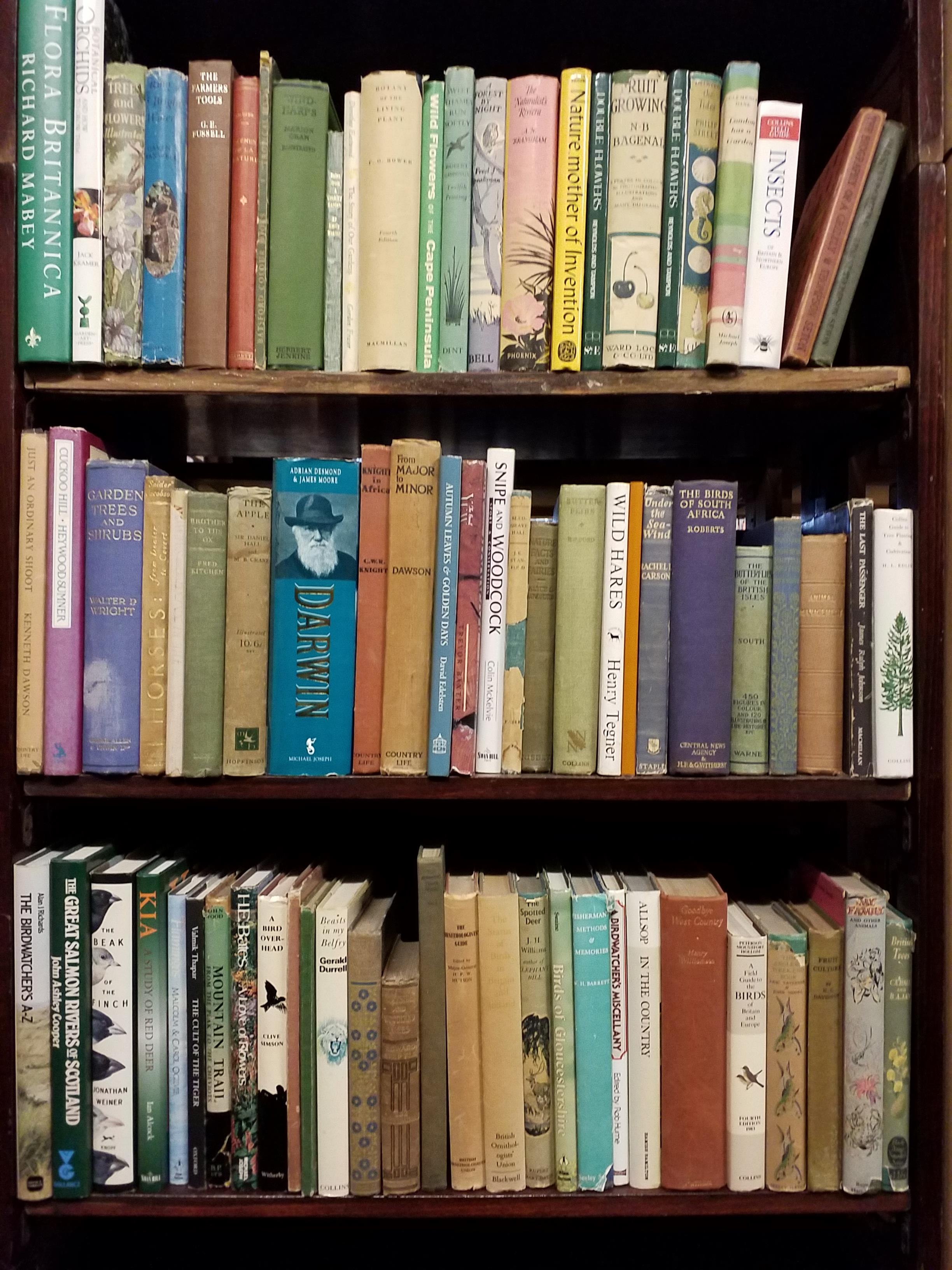 Lot 195 - Natural History. A large collection of late