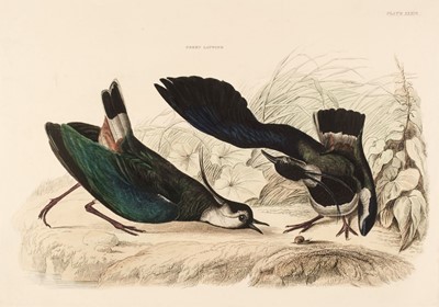 Lot 201 - Selby (John Prideaux). A collection of seven etchings of Birds [1819 - 34]