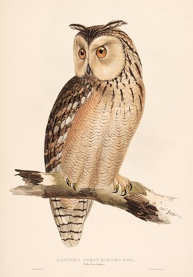 Lot 176 - Lear (Edward). Eastern Great Horned Owl [1832 - 37]