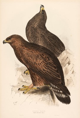 Lot 179 - Lear (Edward). Six Lithographs of Raptors [1832 - 37]