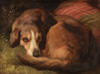 Lot 152 - Scottish School. Portrait of a Dog, circa 1870