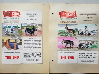 Lot 53 - MiniCine Film Production Storyboards. Dogs & Cats by N.B Marshall, & Other Mammals