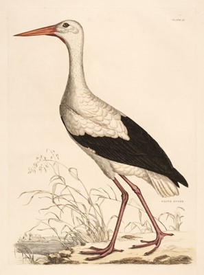 Lot 206 - Selby (John Prideaux). Two etchings of Storks [1819 - 34]