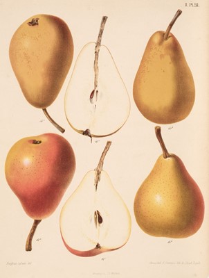 Lot 161 - Fruit. A collection of 36 lithographs, 19th century