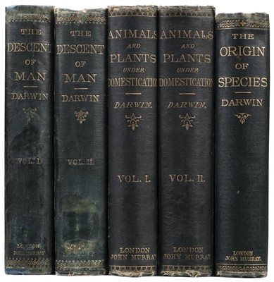 Lot 648 - Darwin (Charles). The Descent of Man, 2 volumes, 1st edition, mixed issue, London: John Murray, 1871