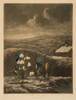 Lot 221 - Ward (William). The Snowdrop, Dr. Thornton, Sept. 1804