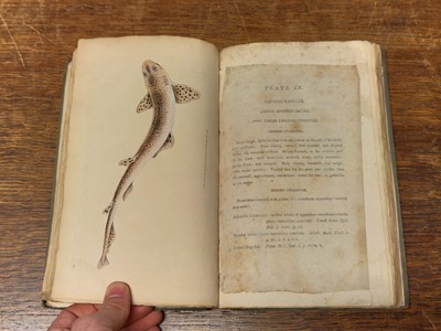 Lot 57 - Donovan (Edward). The Natural History of British Fishes, 5 volumes, 1808