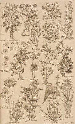 Lot 572 - Hill (John).  The British Herbal, 1st edition, 1756