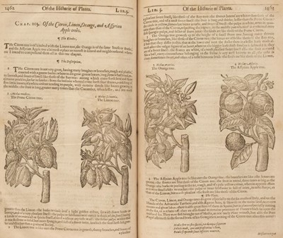 Lot 658 - Gerard (John). The Herball or Generall Historie of Plantes..., 1633