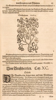 Lot 673 - Mattioli (Pietro Andrea). Kreuterbuch des hochgelehrten weitberümbten, 1586