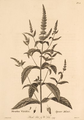 Lot 614 - Sole (William). Menthae Britannicae, 1st edition, 1798