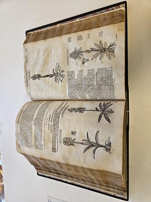 Lot 599 - Parkinson (John). Theatrum Botanicum, 1640