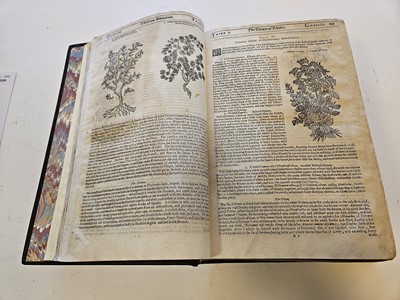Lot 599 - Parkinson (John). Theatrum Botanicum, 1640