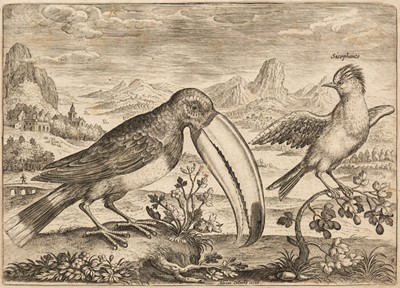 Lot 36 - Collaert (Adriaen, circa 1560-1618). Avium Vivae Icones, circa 1600-1610, six engravings