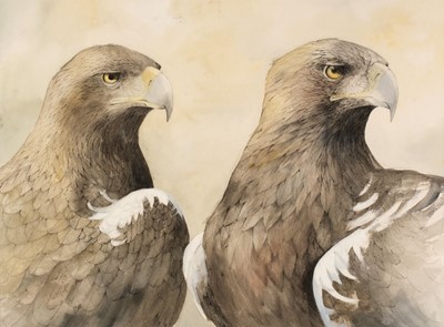 Lot 359 - Faull (Emma, 1956-). A Pair of Imperial Eagles, 1994, watercolour