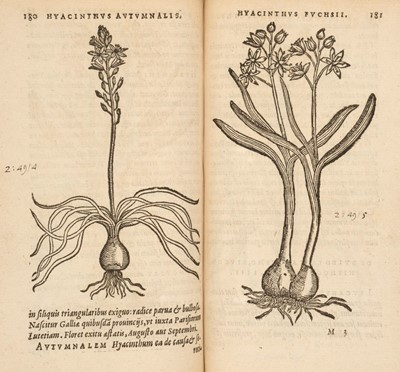 Lot 559 - Dodoens (Rembert). Florum, et Coronariarum odoratarumque, 2nd edition, 1569