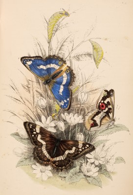 Lot 668 - Humphreys (H. Noel). The Genera and Species of British Butterflies..., T. J. Allman