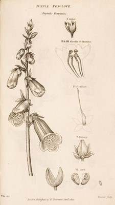 Lot 618 - Thornton (Robert John). The British Flora; or, Genera and Species of British Plants, 5 volumes, 1812
