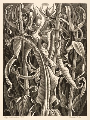 Lot 445 - Poole (Monica, 1921-2003). Dry September, wood engraving