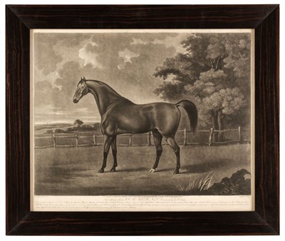 Lot 90 - Stubbs (George Townley, 1756-1815). Brown Horse Mask, Robert Sayer, 1773, & 1 other