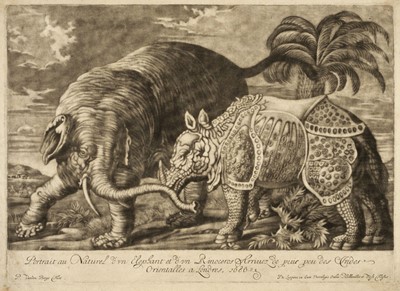 Lot 71 - Van den Berge (Pieter, 1659-1737). Portrait au Naturel d'un Elephant ..., 1686