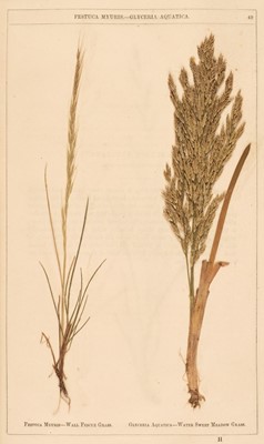 Lot 593 - Moore (David). Concise Notices of British Grasses best suited for Agriculture, 2nd edition, 1850