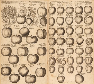 Lot 598 - Newton (James). A Compleat Herbal of the Late James Newton, 1752