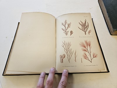 Lot 565 - Gatty (Mrs Alfred). British Sea-Weeds, 2 volumes, 1872