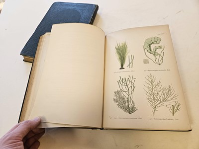 Lot 565 - Gatty (Mrs Alfred). British Sea-Weeds, 2 volumes, 1872