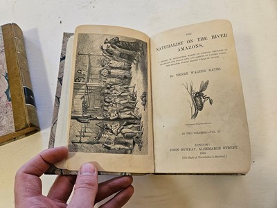 Lot 507 - Bates (Henry Walter). The Naturalist on the River Amazons, 2 vols, 1st edition, 1863