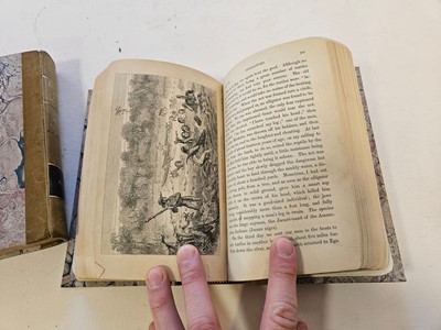 Lot 507 - Bates (Henry Walter). The Naturalist on the River Amazons, 2 vols, 1st edition, 1863
