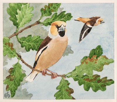 Lot 662 - Gillmor (Robert, 1936-2022). Hawfinch, watercolour