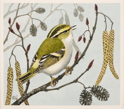 Lot 663 - Gillmor (Robert, 1936-2022). Pallas's warbler, watercolpur