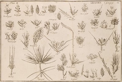 Lot 632 - Withering (William). A Botanical Arrangement of all the Vegetables Naturally Growing, 2 vols., 1776