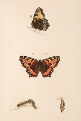 Lot 595 - Morris (F. O.). A History of British Butterflies..., London: Groombridge and Sons, 1865, and others