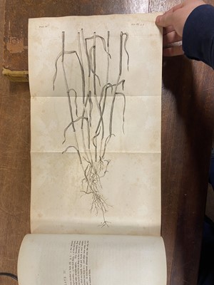 Lot 90 - Darwin (Erasmus). The Temple of Nature, 1st edition, 1805